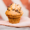 Muffin pépites de chocolat